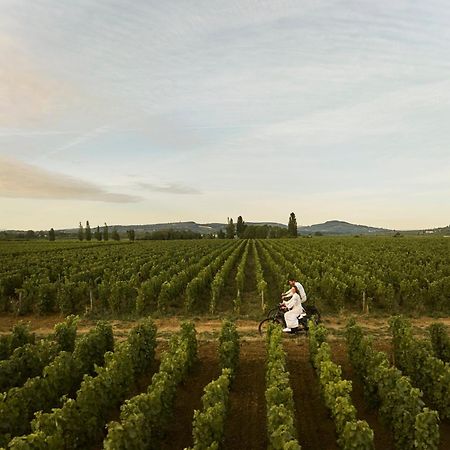Como Le Montrachet Puligny-Montrachet Exterior foto