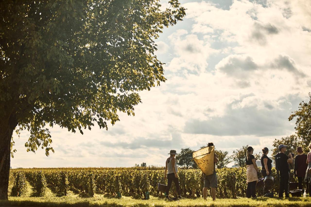 Como Le Montrachet Puligny-Montrachet Exterior foto