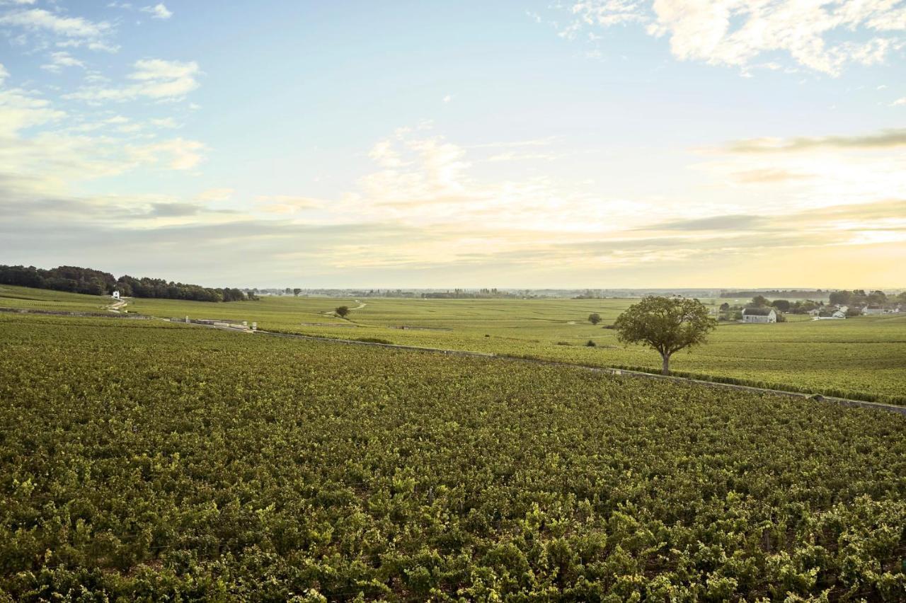 Como Le Montrachet Puligny-Montrachet Exterior foto