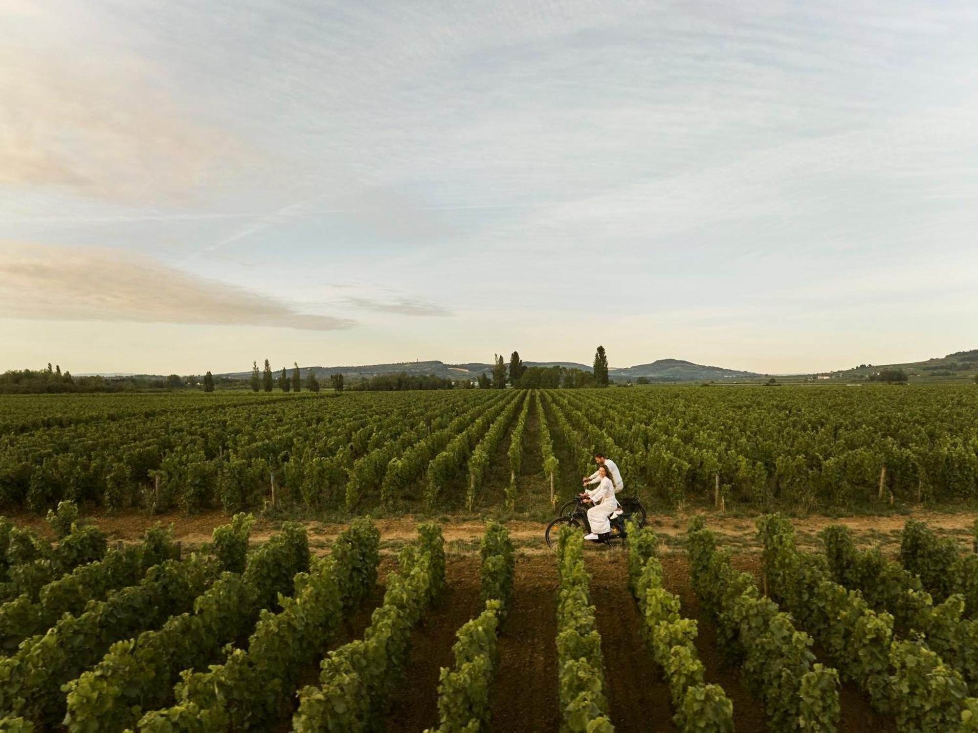 Como Le Montrachet Puligny-Montrachet Exterior foto