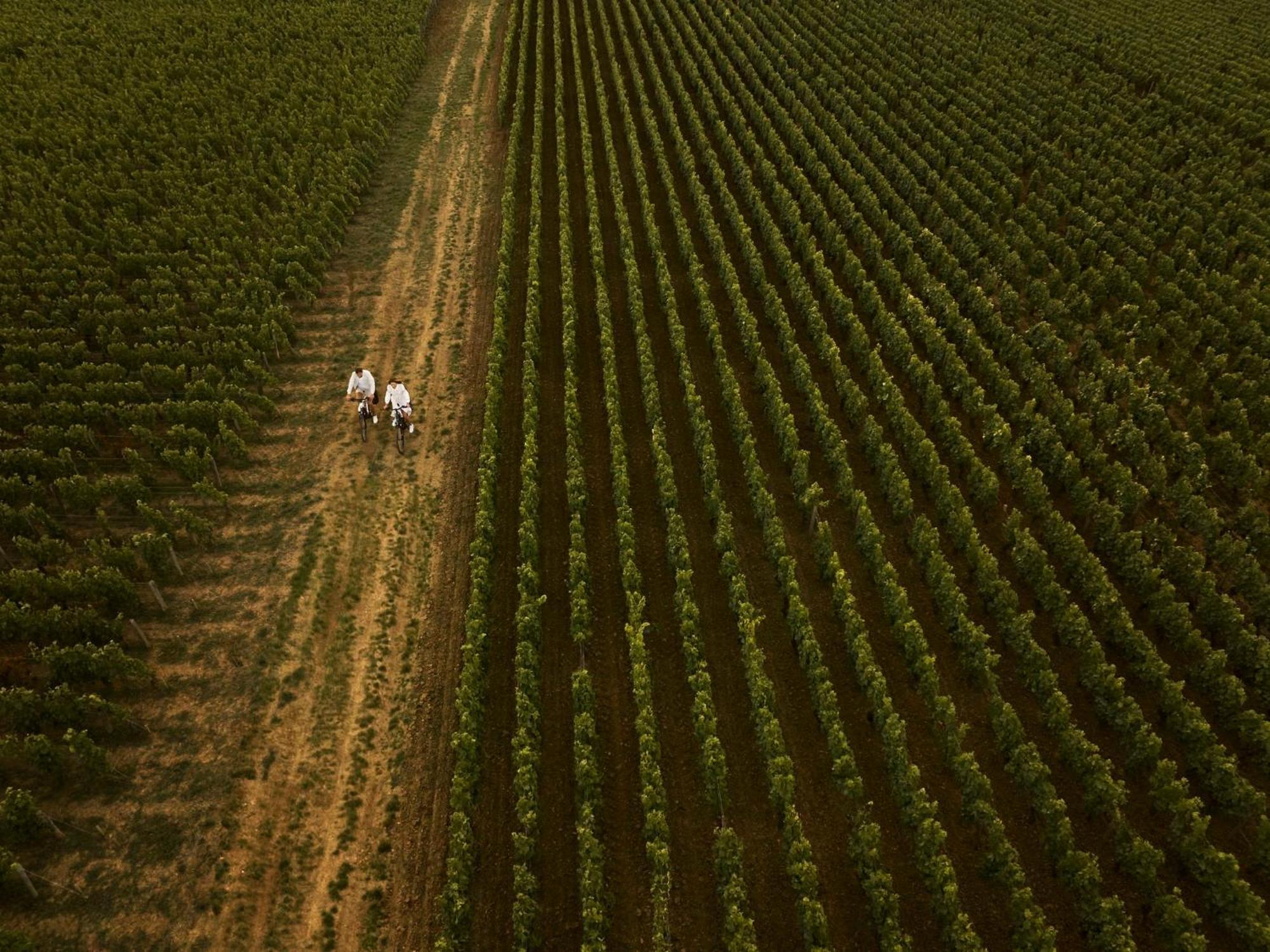 Como Le Montrachet Puligny-Montrachet Exterior foto